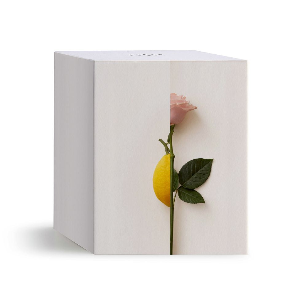 Rosa Limone